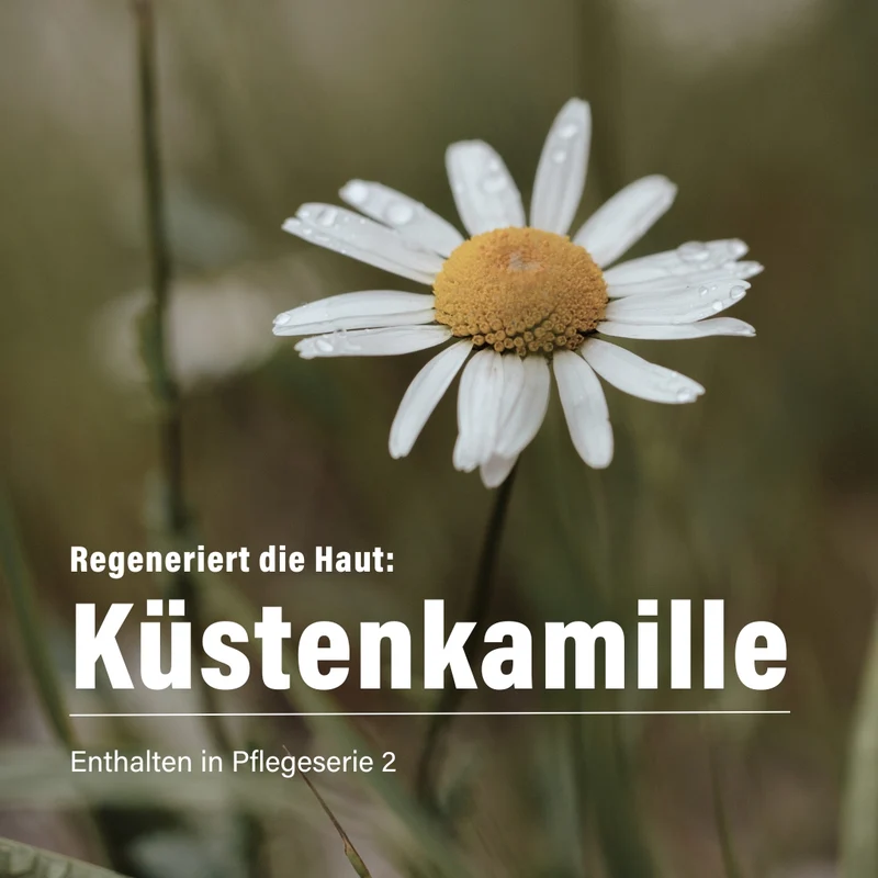 Probierset Serie 2 Edelweiß & Küstenkamille 15 ml