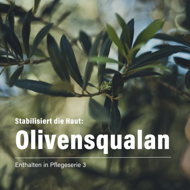 Meeresalge & Olivensqualan Serum 50 ml