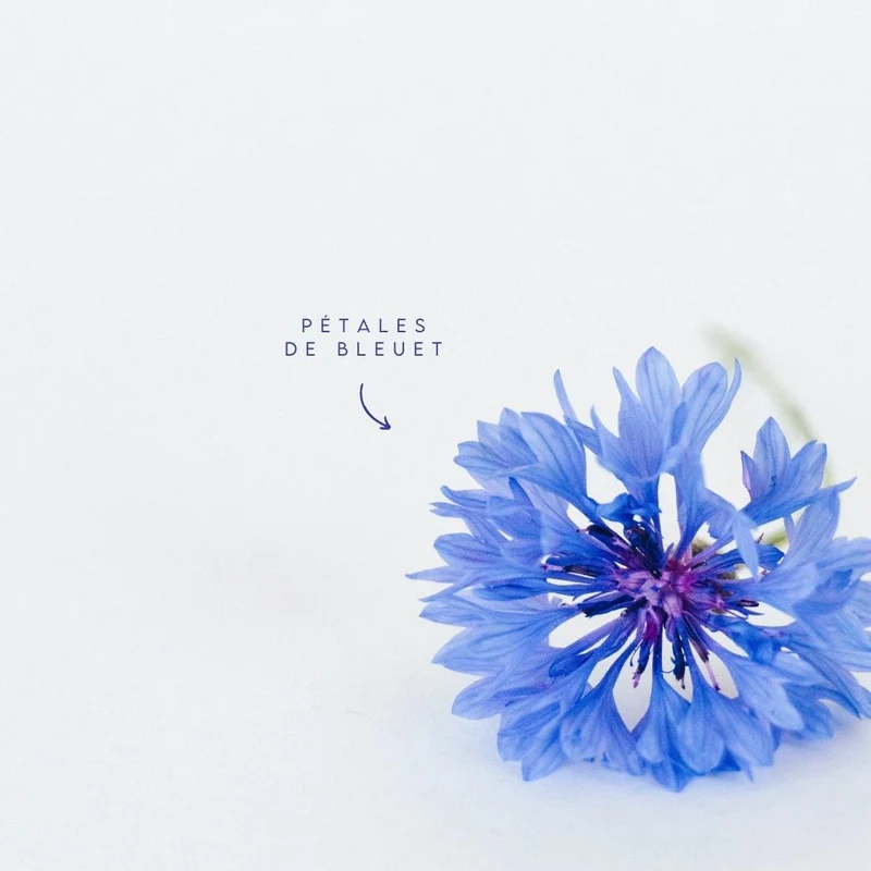 Jelly Mask Professionnel Centaurea Ritual | Anti-inflammatoire et Calmant