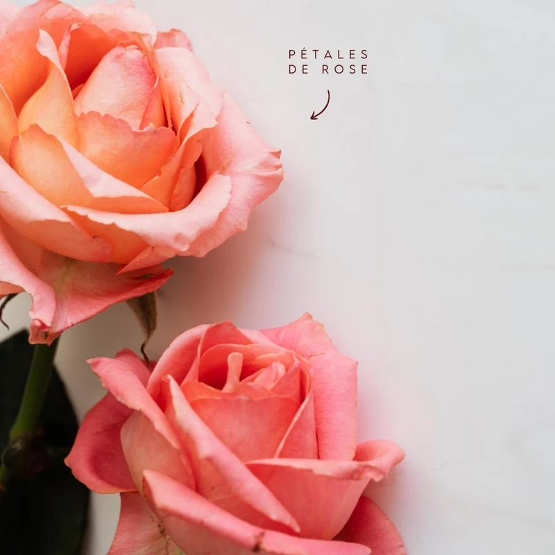 Jelly Mask Professionnel Rose Ritual | Éclat et Hydratation Intense