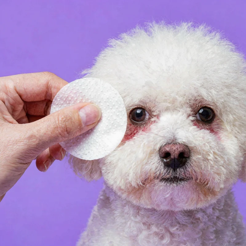 [Self-operated] Roofus Pet Dog Eye Cleaning Wipes, Tear Stain Removal, Fragrance-Free, 100 Wipes