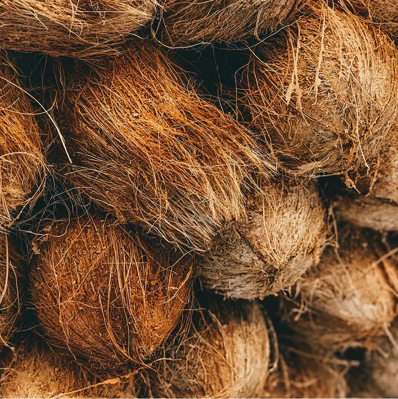 Mahana Coco Infusion