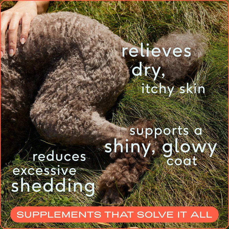 [Self-operated] Native Pet Omega-3 Fish Oil for Dogs, 16oz (472ml)