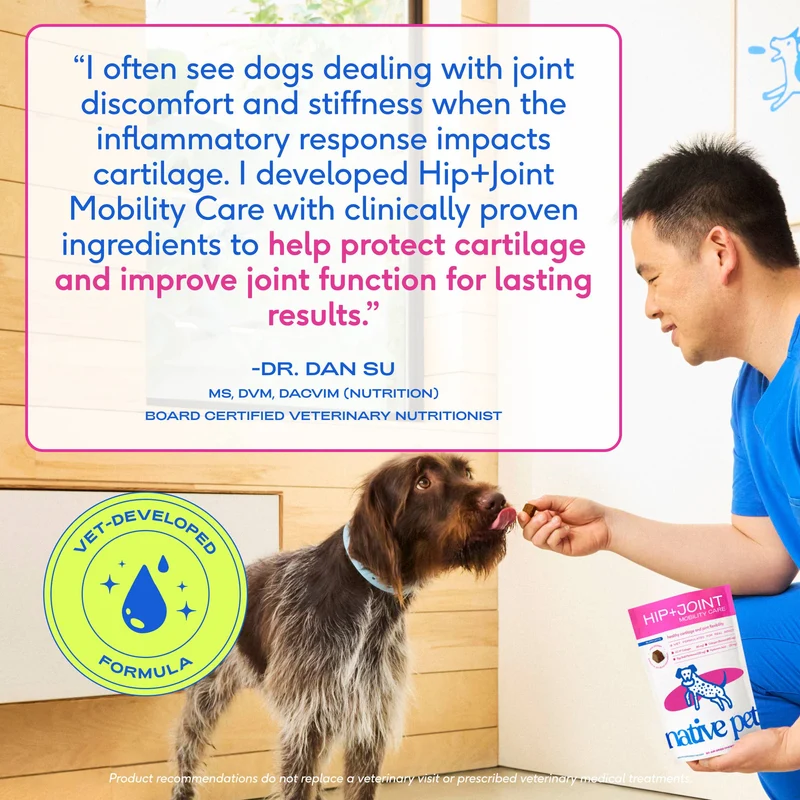 [Self-operated] Native Pet Hip+ Joint Mobility Care Dog Hip Joint Freeze-Dried Chewable Tablets, 60 Tablets, for Joint Cartilage and Flexibility Maintenance.