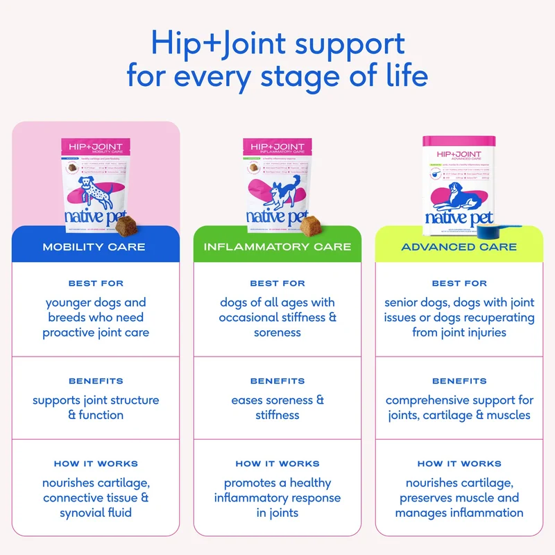 [Self-operated] Native Pet Hip+ Joint Mobility Care Dog Hip Joint Freeze-Dried Chewable Tablets, 60 Tablets, for Joint Cartilage and Flexibility Maintenance.