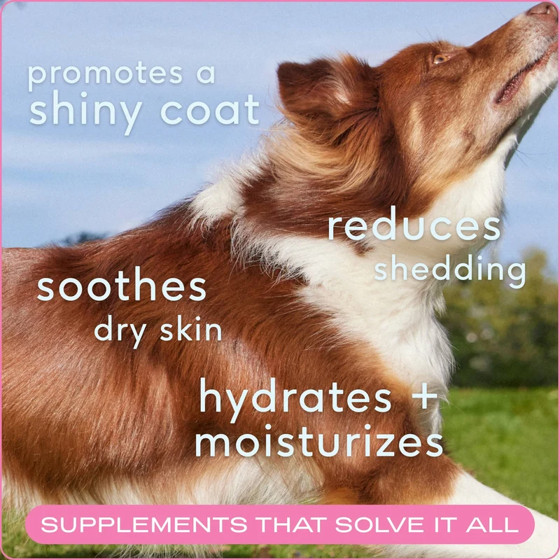 [Self-operated] Native Pet Skin+Coat Freeze-Dried Chewable Canine Skin and Coat Care Products (30 tablets) for Shiny Coat, Moisturizing, Anti-Itch, and Nutritional Supplementation.