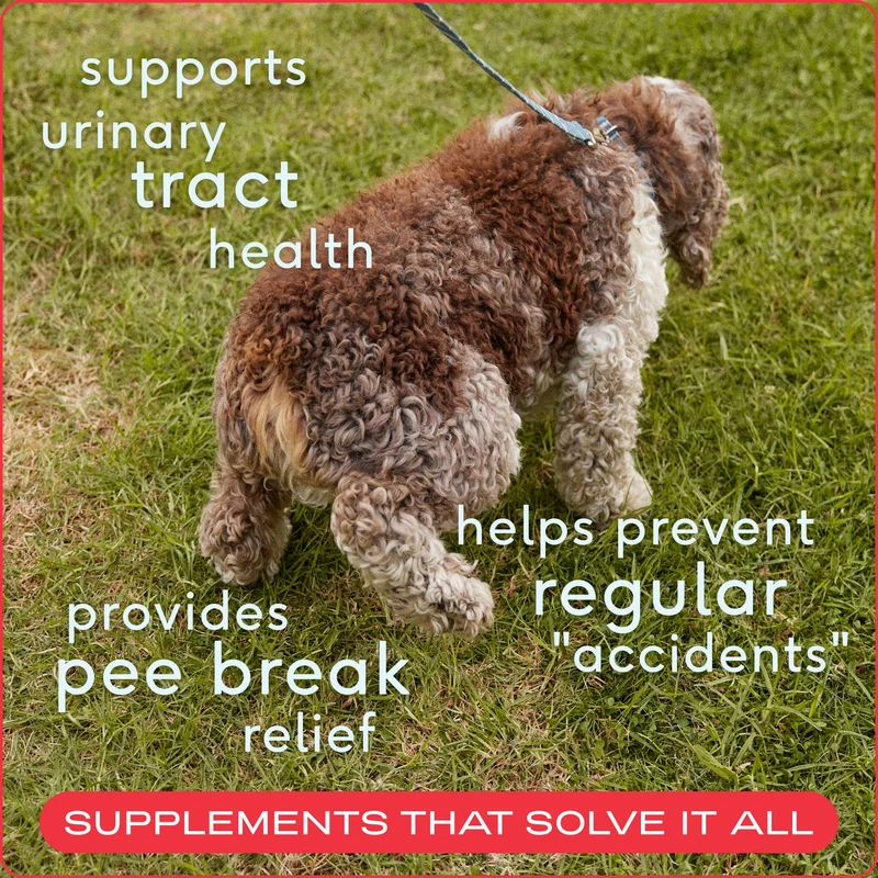 [Self-operated] Native Pet Dog Cranberry Bladder Care Freeze-Dried Chewable Granules, Urinary Tract and Kidney Health Supplement, 30 Granules