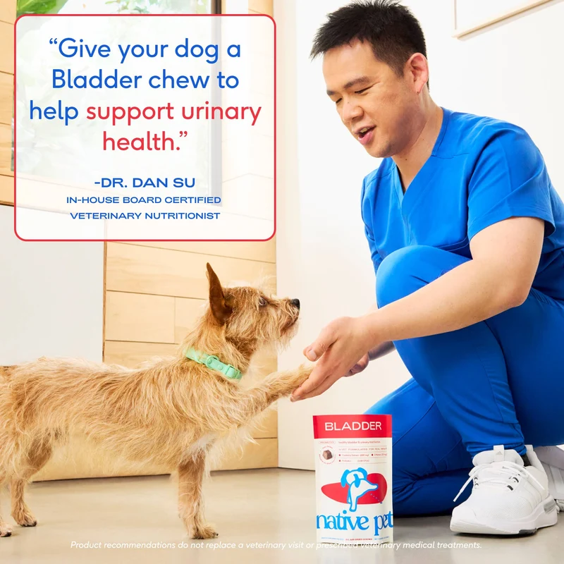 [Self-operated] Native Pet Dog Cranberry Bladder Care Freeze-Dried Chewable Granules, Urinary Tract and Kidney Health Supplement, 30 Granules