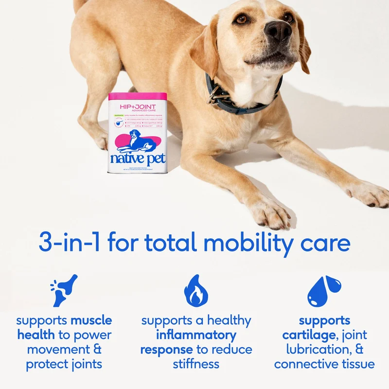 [Self-operated] Native Pet Hip+ Joint Advanced Care for Dogs, 30 scoops, Advanced Hip Care Powder for Joint Cartilage and Muscle Nutrition Support