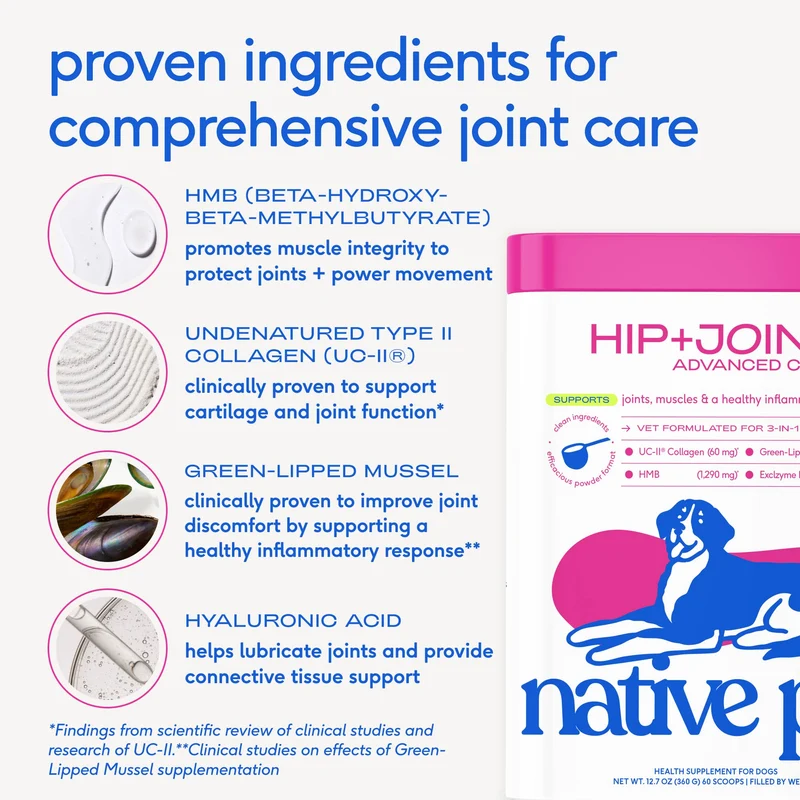 [Self-operated] Native Pet Hip+ Joint Advanced Care for Dogs, 30 scoops, Advanced Hip Care Powder for Joint Cartilage and Muscle Nutrition Support