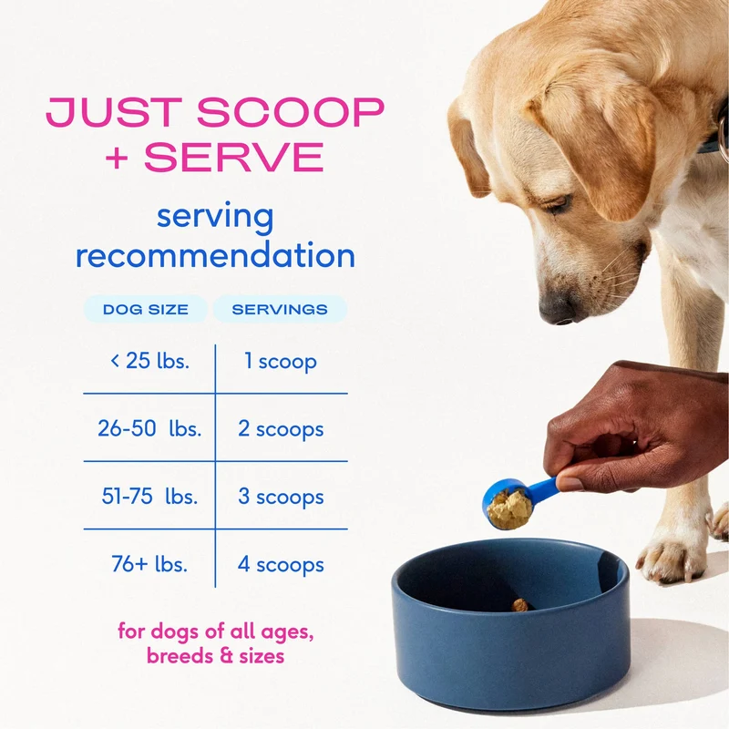 [Self-operated] Native Pet Hip+ Joint Advanced Care for Dogs, 30 scoops, Advanced Hip Care Powder for Joint Cartilage and Muscle Nutrition Support
