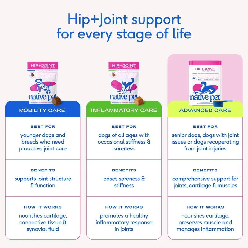 [Self-operated] Native Pet Hip+ Joint Advanced Care for Dogs, 30 scoops, Advanced Hip Care Powder for Joint Cartilage and Muscle Nutrition Support