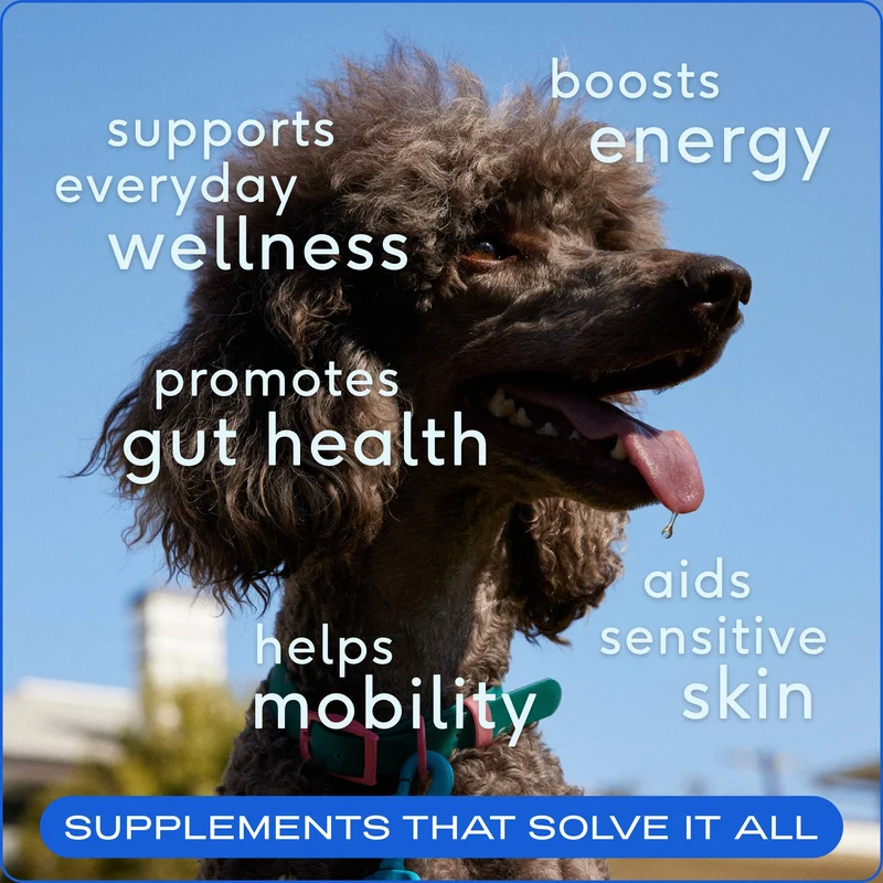 [Self-operated] Native Pet The Daily 11-in-1 Multivitamin Powder for Dogs of All Ages, Daily Multivitamin Supplement, 30 scoops