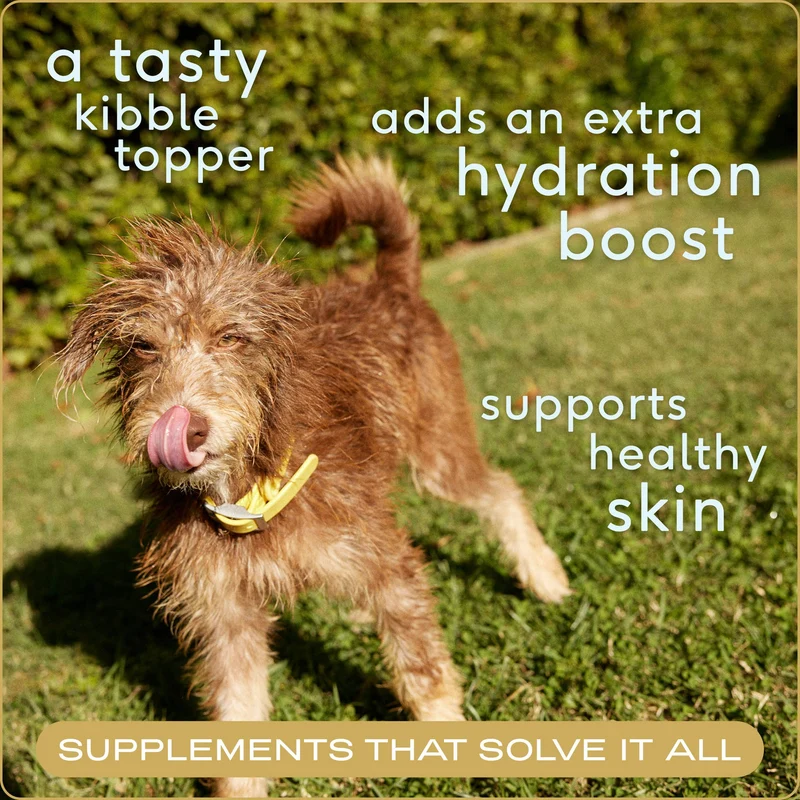 [Self-operated] Native Pet Natural Beef Bone Broth Powder, High-Protein Dog Food Mix Powder, 4.75oz (134.7g)