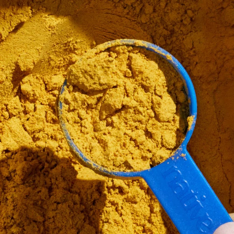 [Self-operated] Native Pet Natural Organic Pumpkin Fiber Powder for Dogs, Digestive and Nutritional Supplement Powder 8oz (227g)