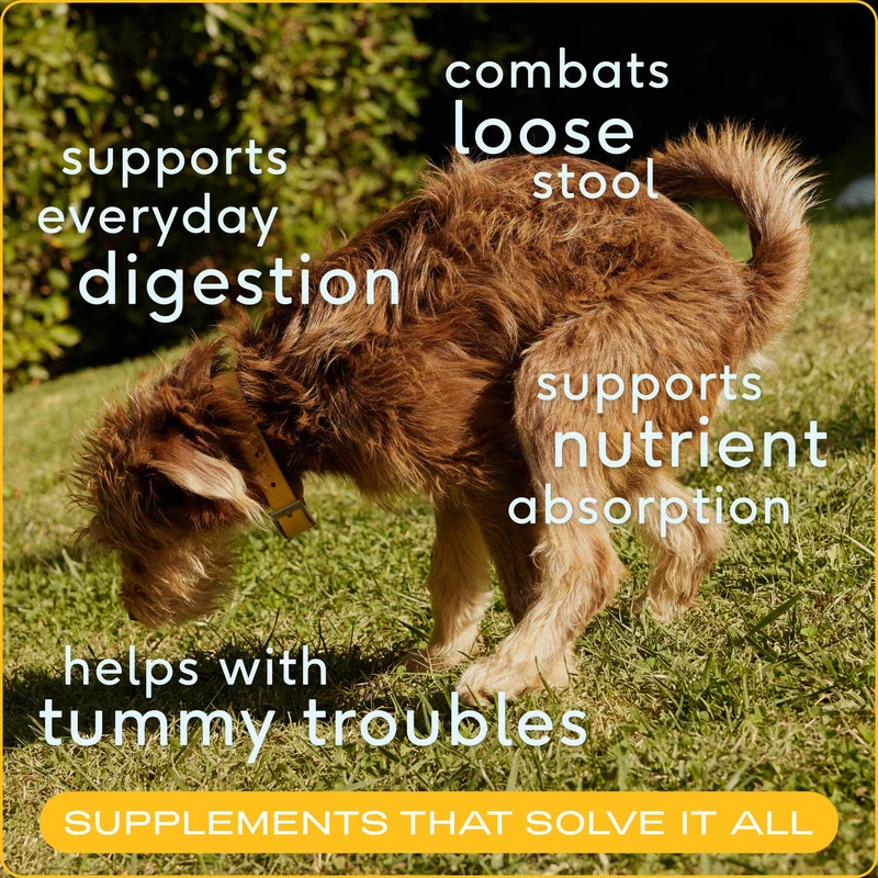 [Self-operated] Native Pet Natural Organic Pumpkin Fiber Powder for Dogs, Digestive and Nutritional Supplement Powder 8oz (227g)