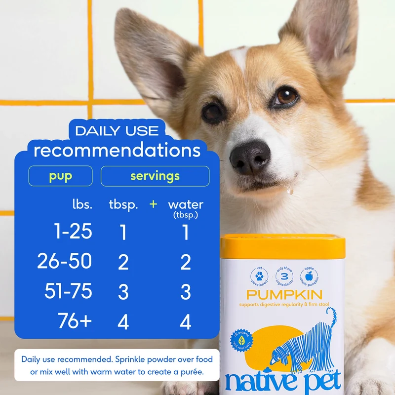 [Self-operated] Native Pet Natural Organic Pumpkin Fiber Powder for Dogs, Digestive and Nutritional Supplement Powder 8oz (227g)