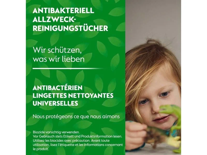 Dettol Allzweck-Reinigungstücher Limette & Minze, 60 Tücher