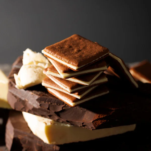 [Self-operated] Tokyo Milk Cheese Factory Japan New Version Limited Edition Chocolate Flavored Sandwich Biscuits (9 Pieces) Snack Gift Box