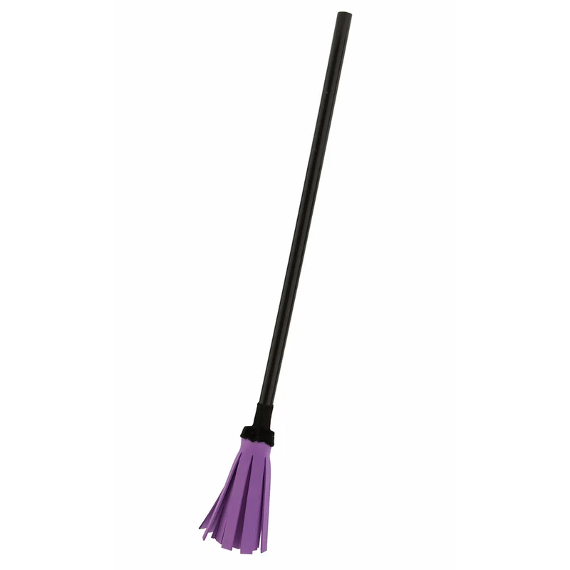 Besen Violet Eva