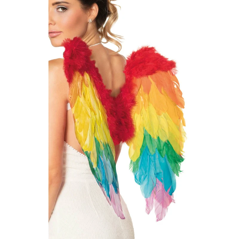 Flügel Regenbogen mit Federn