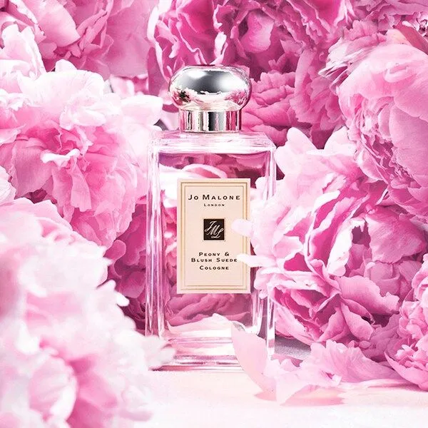 [Self-operated] No box - Jo Malone London Classic Fragrance Perfume Peony & Blush Suede 100ml
