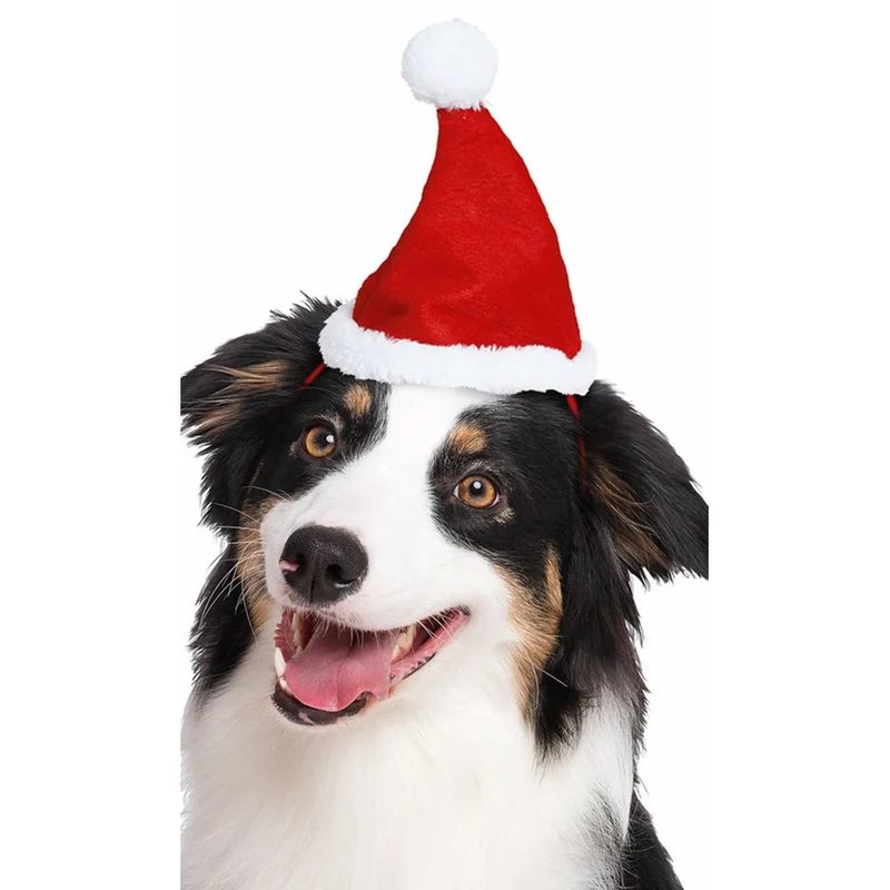 Weihnachtsmütze für Haustiere