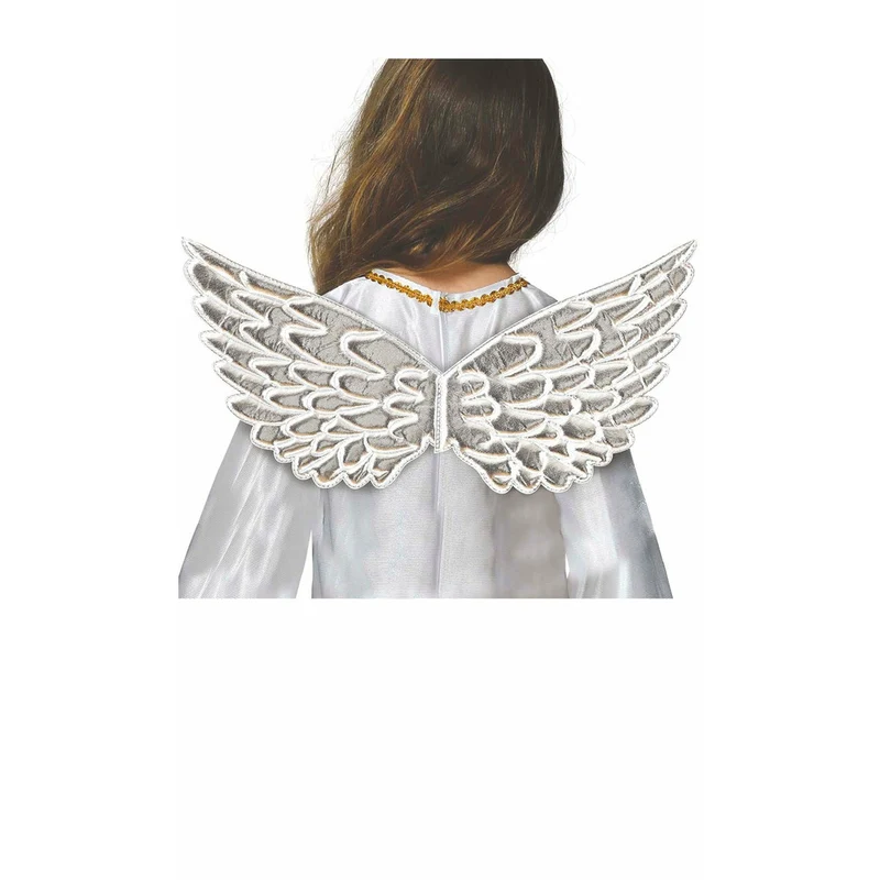 Kleine silberne Flügel