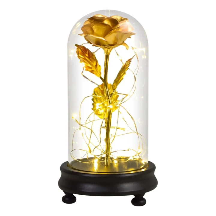 [US Warehouse] Beauty and the Beast Glass Preserved Rose Galaxy Rose LED Light Artificial Flower Christmas Valentine's Day Birthday Gift