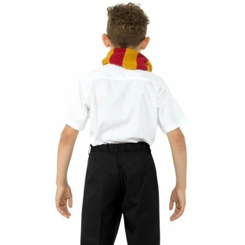 Set Zauberer Harry für Kinder