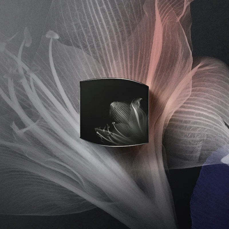[Self-operated] Japanese POLA New Black BA Foundation Cream #N3 30g Core + Shell Natural Color