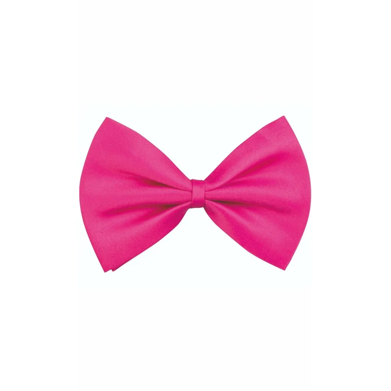 Fliege Fuchsie