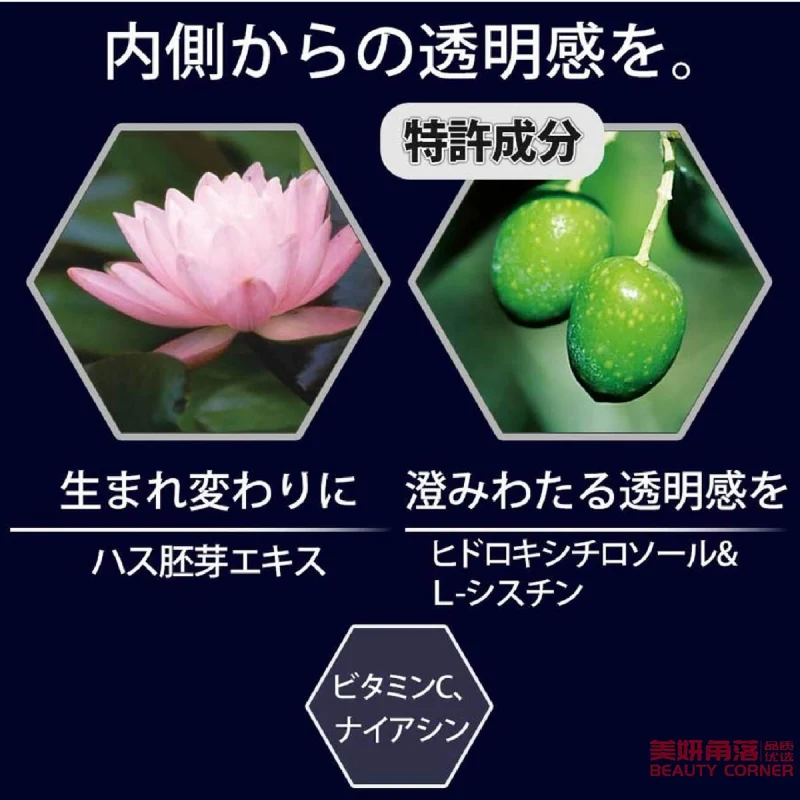 [Self-operated] Japanese FANCL New Whitening Pill White Force 180 capsules/bag, one month’s supply