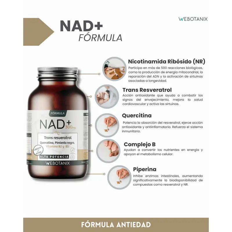 Webotanix Na+Resveratrol Formula, 60 capsules